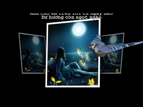 Theo giấc mộng dài - Anh Tuấn