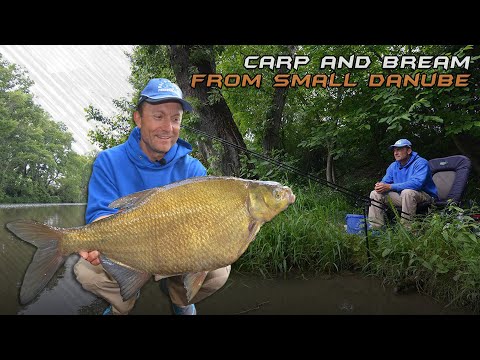 Döme Gábor - A pontyok nyertek!