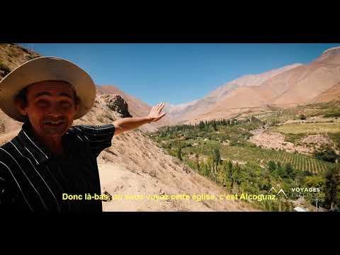 Visite et dégustations à la viña Alcohuaz, Elqui
