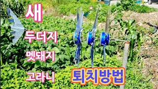 새/두더지/멧돼지/고라니/ 퇴치방법