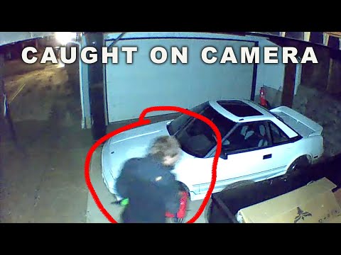 Caught On Camera: Trespassers At Our New Property