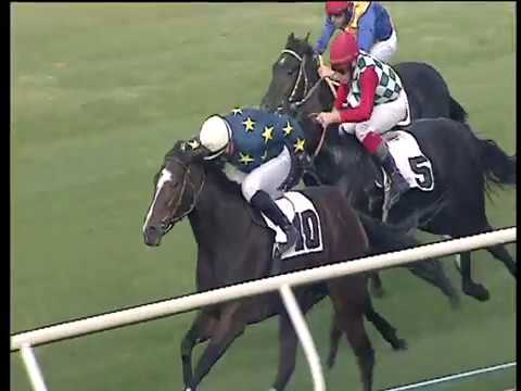 Galoppo 08/11/2017 - 1ª corsa