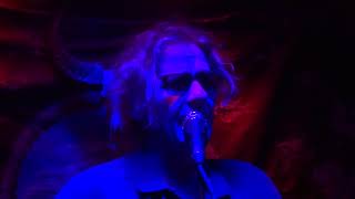 Luna-Tiger Lily-Pappy and Harriet's-1/13/18