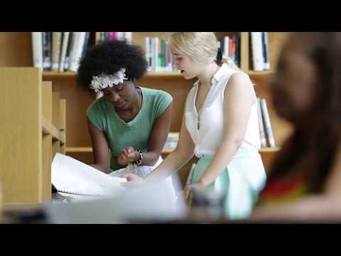 Making Sense of Excelsior (Preview)