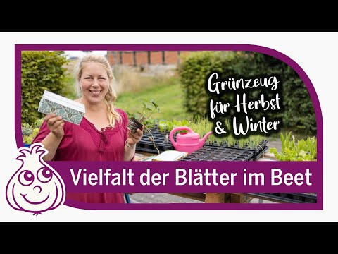 Last major sowings this season in September