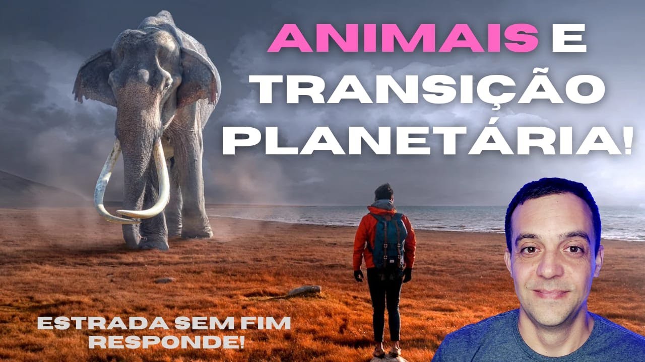 SOFRIMENTO, REENCARNAÇÃO IMEDIATA e EUTANÁSIA em ANIMAIS!