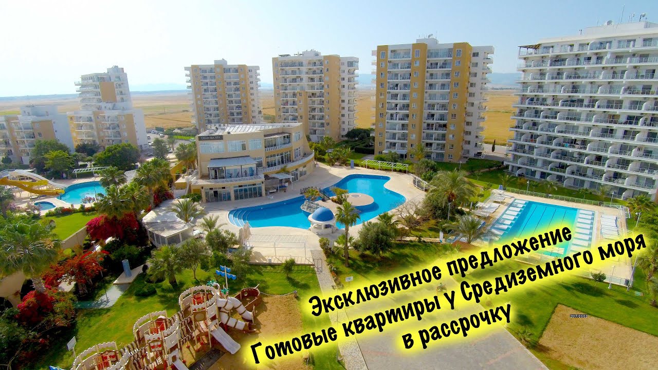 video image