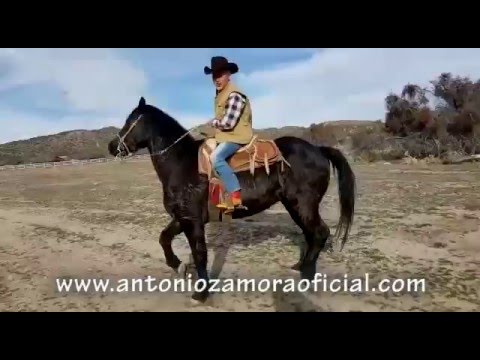 Suéltame Video Musical Detrás de Cámara Antonio Zamora Video 3