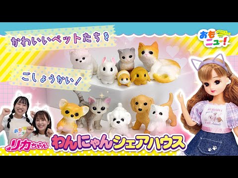 【ペットとの暮らし】リカちゃん わんにゃんシェアハウスであそんでみたよ!【ペットもギミックもたくさん】タカラトミー公式｜おもちゃ｜おままごと｜Licca　#おもニュー