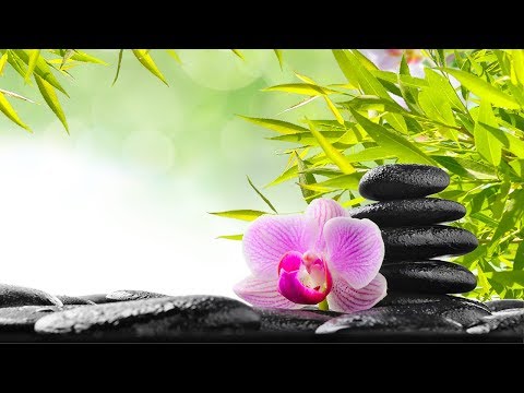 Zen Meditation Music, Relaxing Music, Music for Stress Relief, Soft Music, Background Music, ☯3256