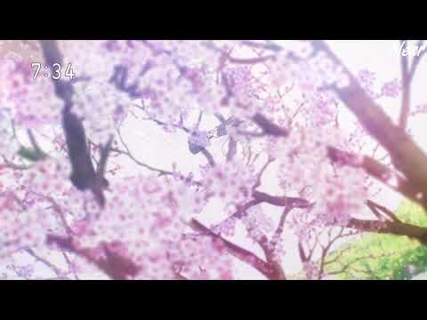 Cardcaptor Sakura: Clear Card-hen ( Uchiage HANABI ) AMV