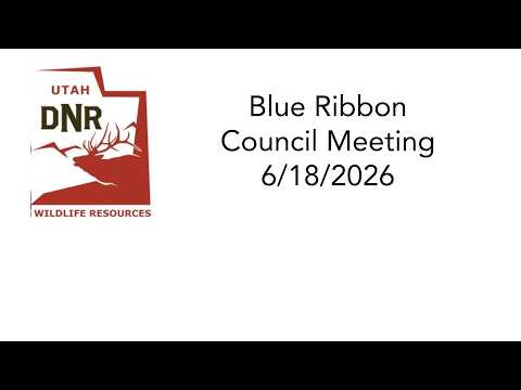 Meeting thumbnail