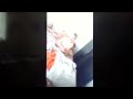 ThePhilliesFan S 2nd Channel REUPLOAD Don T Want To Go To School Tantrum
