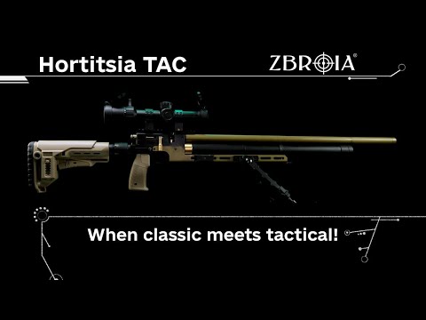 Пневматическая PCP винтовка (воздушка) Zbroia Хортиця TACT 550/230 4,5 мм (чёрный)