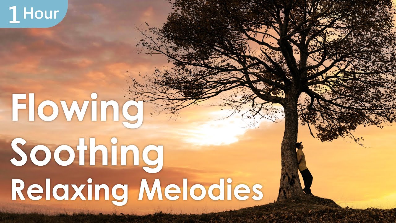 以琴聲編織的心流音樂，走過 65 年的生命樂章 - 楊錦聰《心的年輪》︱1小時心靈音樂︱風潮音樂︱放鬆 紓壓 純音樂