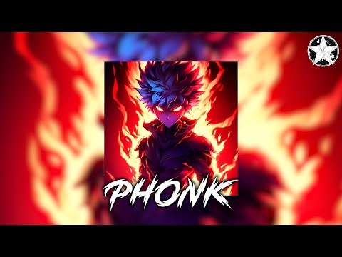 Brazilian Phonk Mix 2025 ※ Best Baile Funk ※ Tik Tok Viral Phonk Music Mix #719