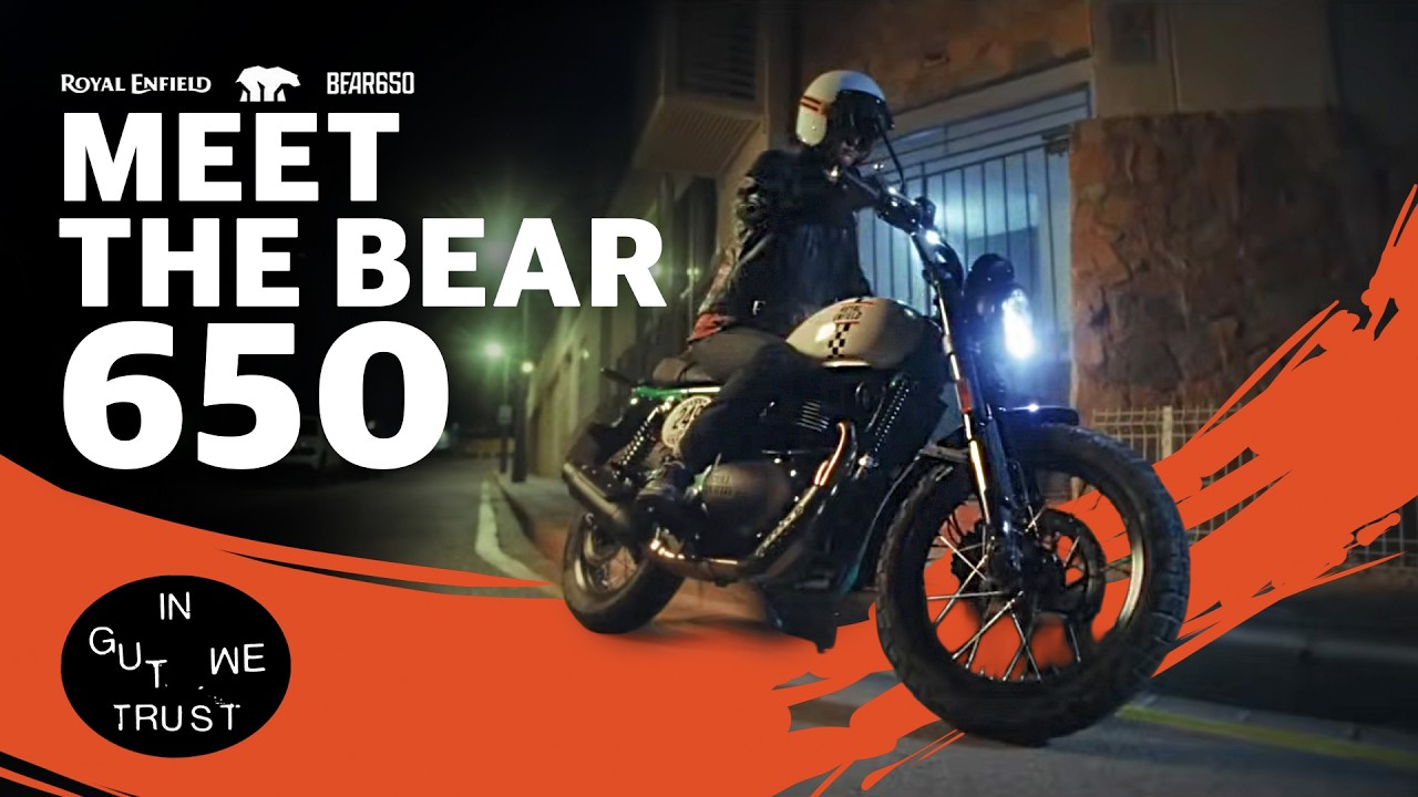 BEAR 650cc