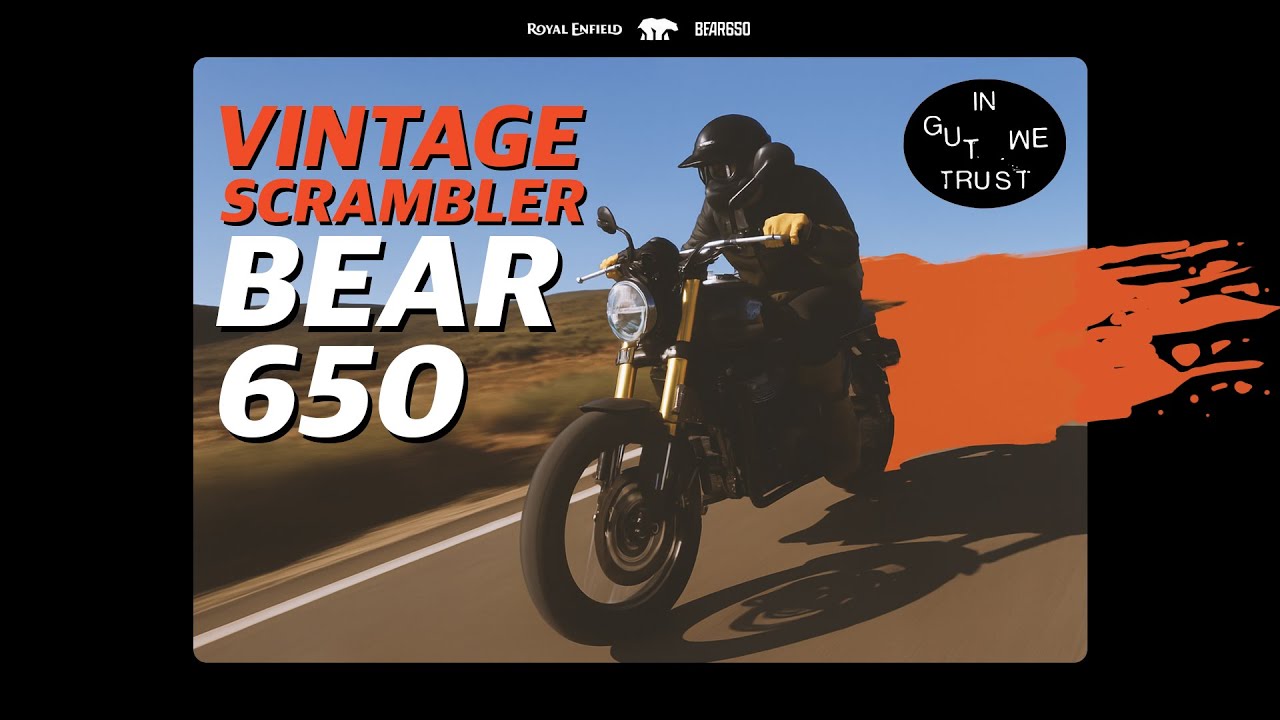BEAR 650cc