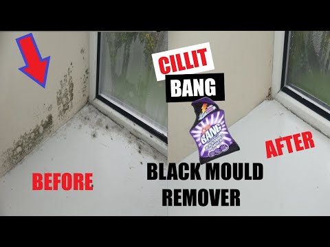 Does Cillit Bang Black Mould Remover Work? Amazing Results on Walls How to Remove Black Mould