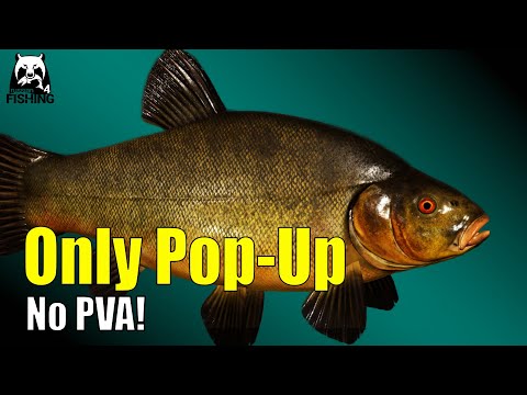 Russian Fishing 4 - Copper Lake - 🎣 F1 Carp & Kvolsdorfsky Tench Very Easy! Silver and XP  #rf4