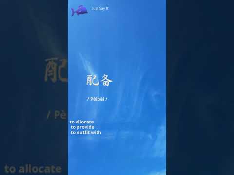 How to Say To Allocate in Chinese Word 配备