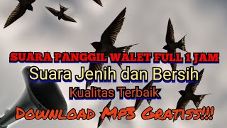 Download lagu Suara Panggil walet pemutus jalur lintas terbaru | Durasi Full 1 jam mp3 Download lagu Suara Panggil walet pemutus jalur lintas terbaru | Durasi Full 1 jam mp3