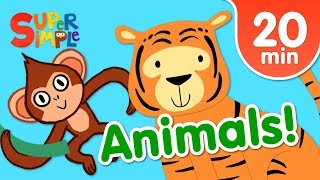 Our Favorite Animals Songs For Kids  Super Simple 
