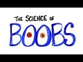 The Science of Boobs