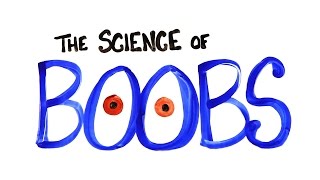 The Science of Boobs