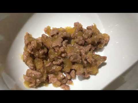 Feed cat with Marissa!