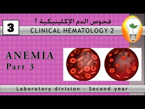 clinical hematology anemia policythemia تقنيات تحاليل الدم الأنيميا