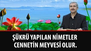 Dr. Burhan SABAZ - Şükrü yapılan nimetler cennetin meyvesi olur.