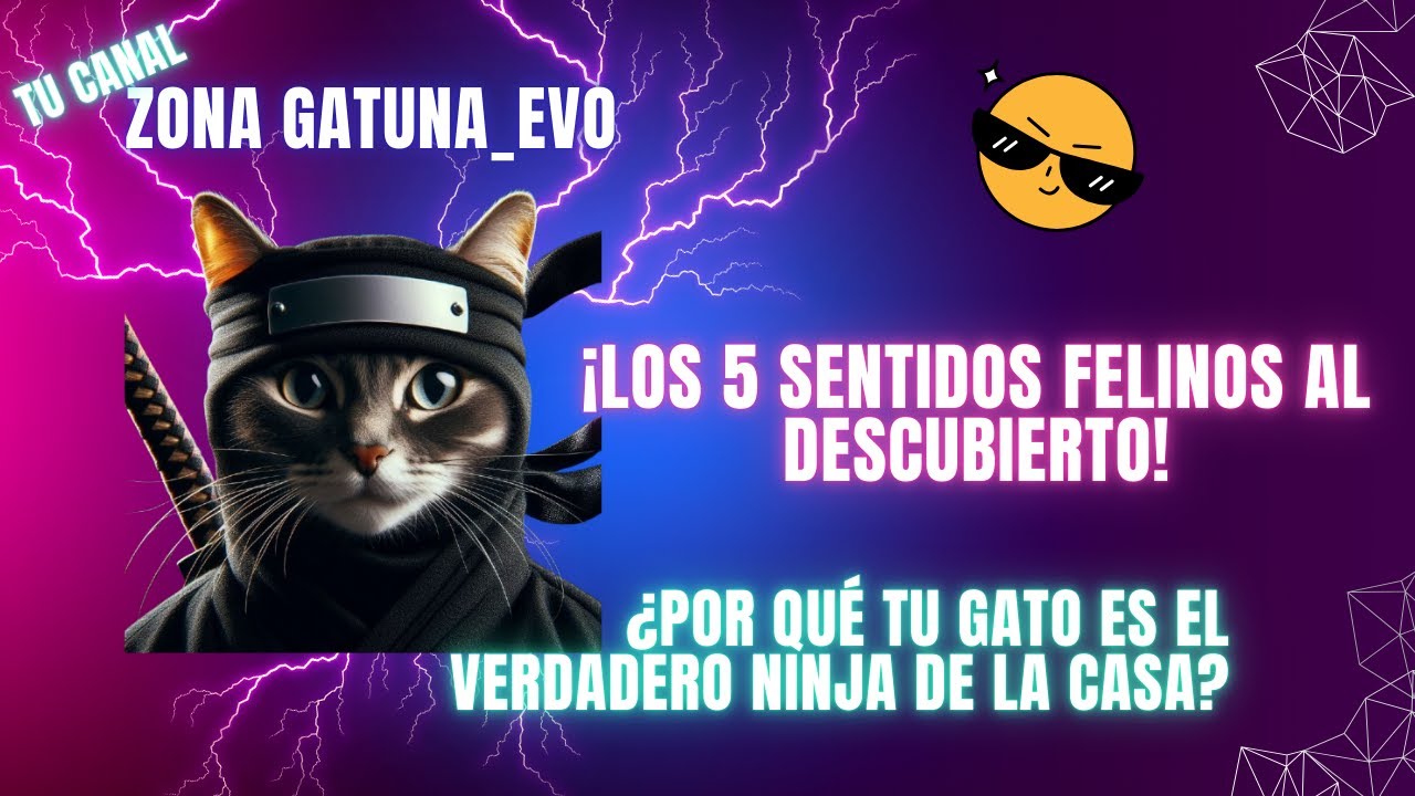 ¿POR QUE TU GATO ES EL VERDADERO NINJA DE LA CASA?🥷 LOS 5 SENTIDOS FELINOS AL DESCUBIERTO.😸