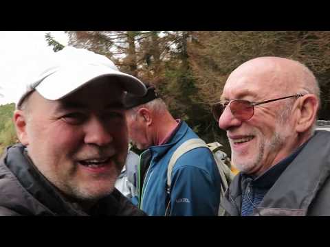 Stempelstelle 36 Peterstein - Harzer Wandernadel