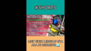 Download lagu Masteran Lengkap Murai batu Roll Terkasar #shorts#shortsyoutube #masteranburungkecil #masteranburcil mp3 Download lagu Masteran Lengkap Murai batu Roll Terkasar #shorts#shortsyoutube #masteranburungkecil #masteranburcil mp3