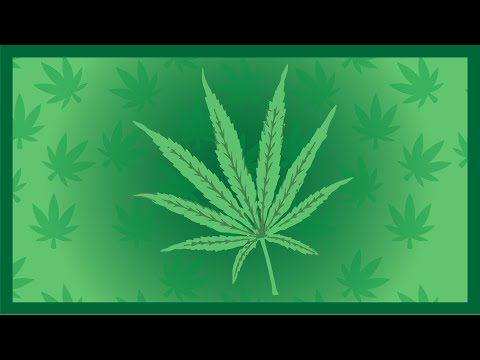 Cannabis sativa - explicada