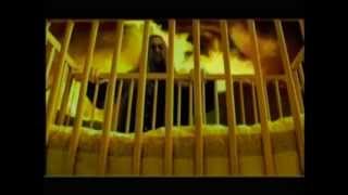 Novembers Doom- Autumn Reflection HD 80p