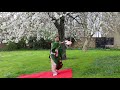 Sakura Sakura Nihon Buyo Japanese Fan Dance