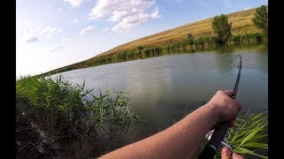 Рыбалка на чограйском водохранилище 2019