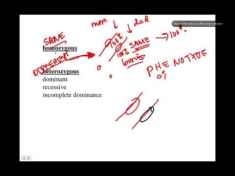 Allele Terms, BIO105 Introductory Biology, David Champlin, USM