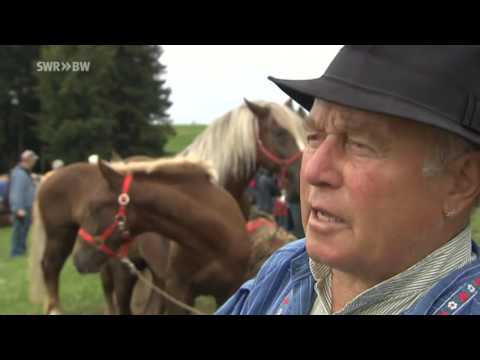 Treffpunkt Rosstag / Rossfest Sankt Märgen 2013 vom SWR