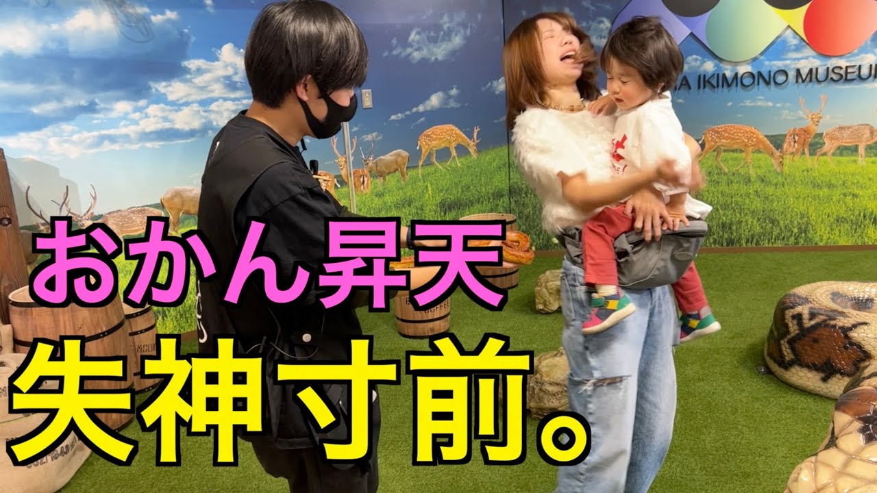 【爬虫類】いきものミュージアム【親子で楽しい】