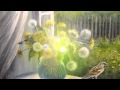 Солнечный букет Sunny bouquet Video Background 