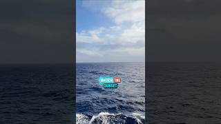 BEST SPOT TO ENJOY THE OCEAN IN CARNIVAL CONQUEST