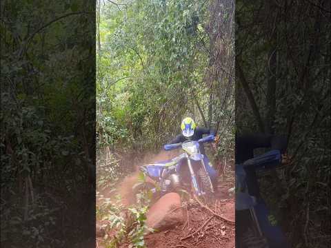 Pânico na floresta.. hard enduro Ramilândia #hardenduro #trilhasradicais