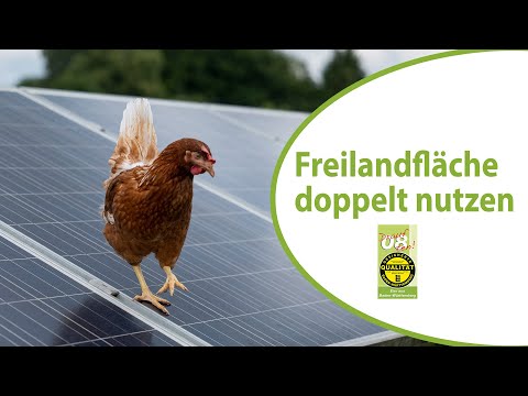 Freilandfläche ökologisch perfekt doppelt nutzen