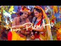 Radha Krishna Status Tum Prem Ho TumPreet Ho Status Screen Status Krishna Status