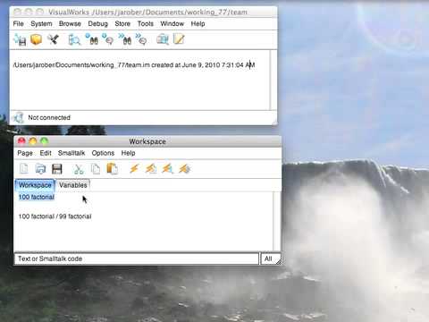 Tutorial: VisualWorks Basic Introduction - Dynamic Typing