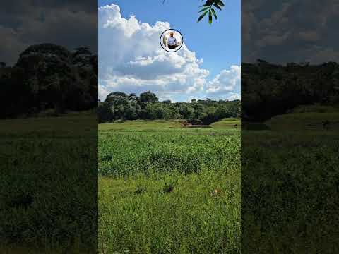 Chácaras de 20.000m no Lago Corumbá IV em Alexânia Goiás