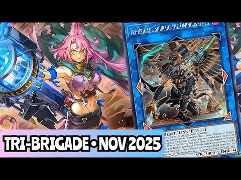 BEST! Tri-Brigade Zoodiac Deck Profile! NOVEMBER 2025!